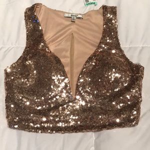 Gold sequined deep v crop too